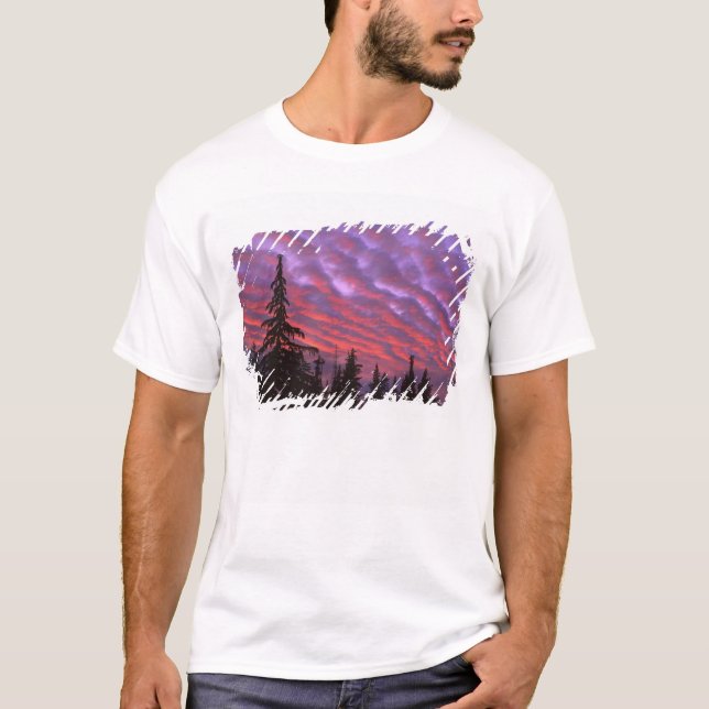 USA, Oregon, Three Sisters Wilderness, Vivid T-Shirt (Front)