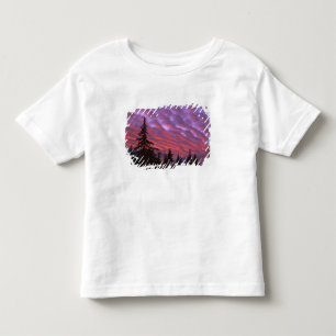 USA, Oregon, Three Sisters Wilderness, Vivid Toddler T-shirt