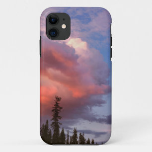 USA, Oregon, Umpqua National Forest. Storm iPhone 11 Case