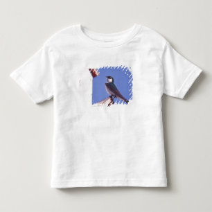 USA, Oregon. Violet-Green Swallow Tachycineta Toddler T-shirt
