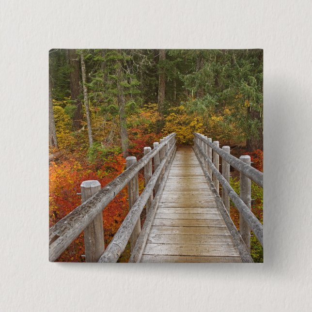 USA, Oregon, Willamette National Forest. 2 Inch Square Button (Front)