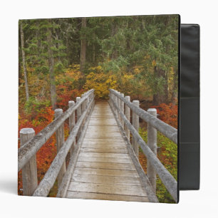 USA, Oregon, Willamette National Forest. Binder