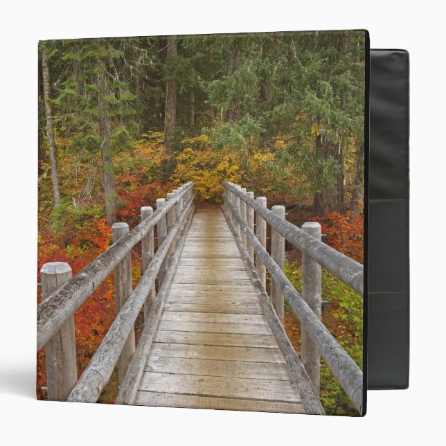 USA, Oregon, Willamette National Forest. Binder (Front/Inside)