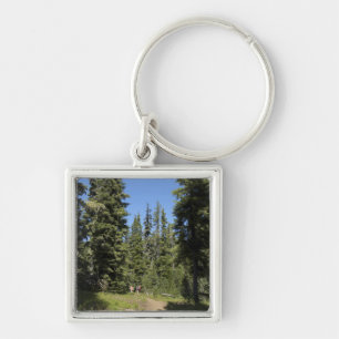 USA, Oregon, Willamette National Forest, Fall Keychain