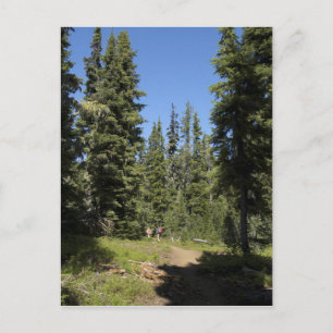 USA, Oregon, Willamette National Forest, Fall Postcard