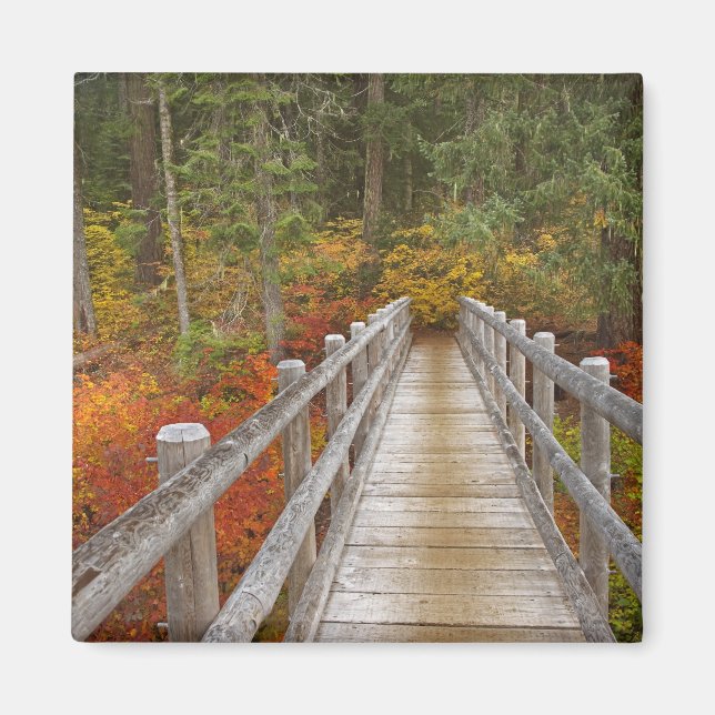 USA, Oregon, Willamette National Forest. Magnet (Front)