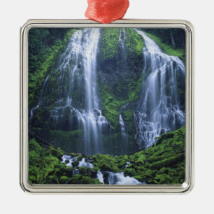 USA, Oregon, Willamette National Forest. View of Metal Ornament