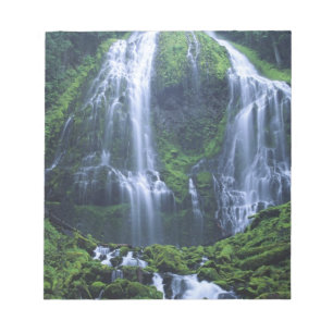 USA, Oregon, Willamette National Forest. View of Notepad