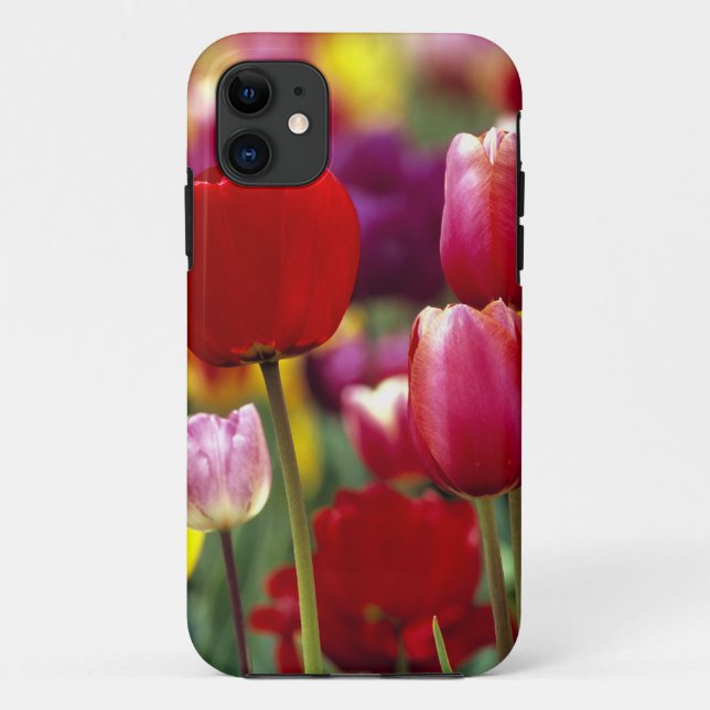 USA, Oregon, Willamette Valley. Beautiful Case-Mate iPhone Case (Back)