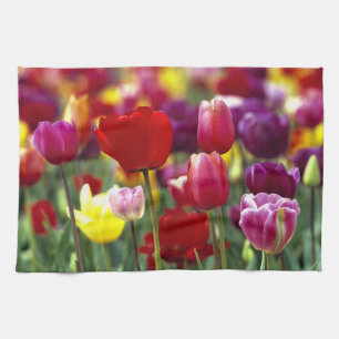 USA, Oregon, Willamette Valley. Beautiful Kitchen Towel