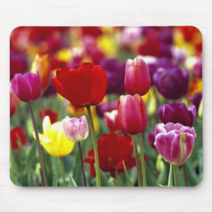 USA, Oregon, Willamette Valley. Beautiful Mouse Pad