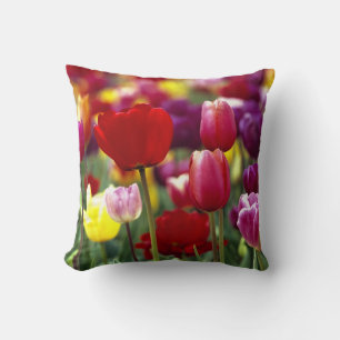 USA, Oregon, Willamette Valley. Beautiful Throw Pillow