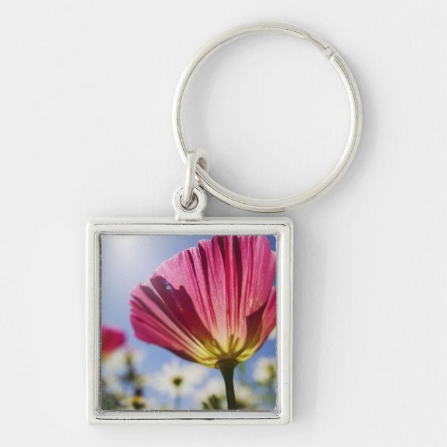 USA, Oregon, Willamette Valley, Close UP of Keychain (Front)