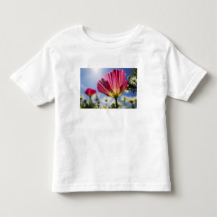USA, Oregon, Willamette Valley, Close UP of Toddler T-shirt