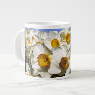 USA, Oregon, Willamette Valley. Daffodils grow Large Coffee Mug