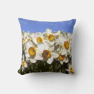 USA, Oregon, Willamette Valley. Daffodils grow Throw Pillow