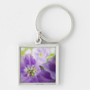 USA, Oregon, Willamette Valley, Larkspur Close Keychain