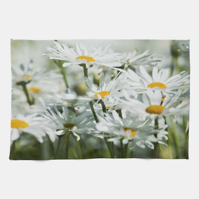 USA, Oregon, Willamette Valley, Selective Kitchen Towel (Horizontal)