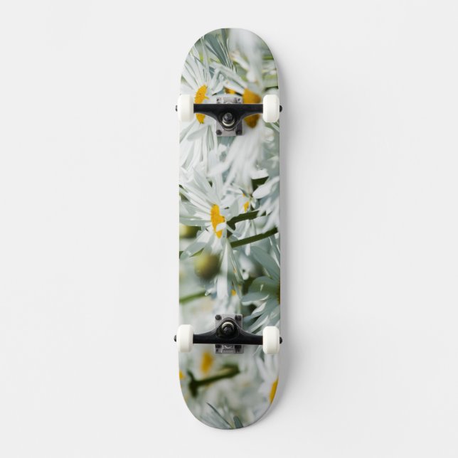 USA, Oregon, Willamette Valley, Selective Skateboard (Front)