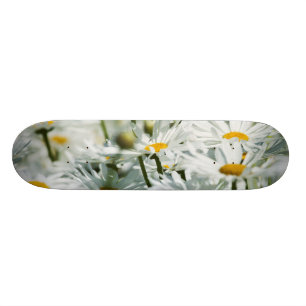 USA, Oregon, Willamette Valley, Selective Skateboard