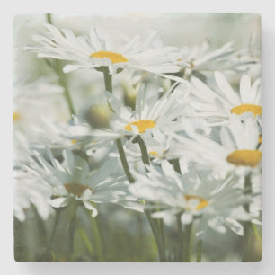 USA, Oregon, Willamette Valley, Selective Stone Coaster