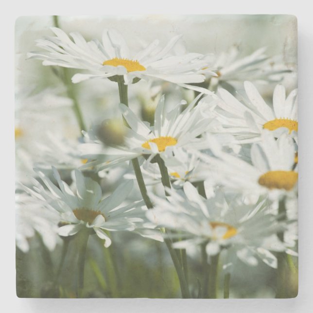USA, Oregon, Willamette Valley, Selective Stone Coaster (Front)