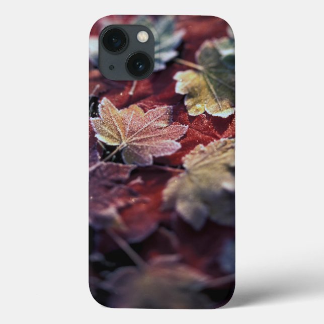 USA, Pacific Northwest. Japanese maple leaves Case-Mate iPhone Case (Back)
