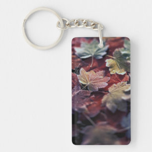 USA, Pacific Northwest. Japanese maple leaves Keychain