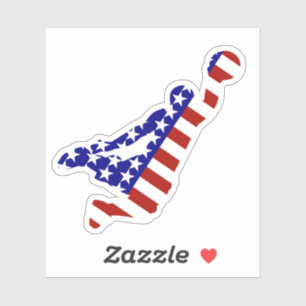 USA Patriotic BASKETBALL