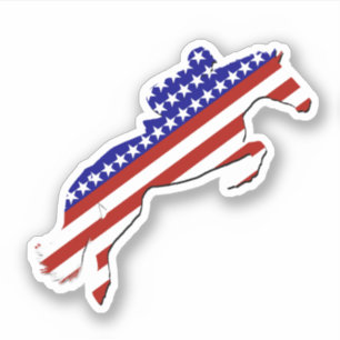 USA Patriotic Equestrian