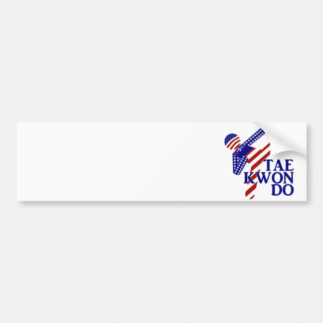 USA Patriotic Martial Arts TAEKWONDO  Bumper Sticker (Front)