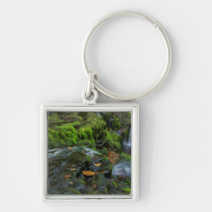 USA, Pennsylvania, Benton, Ricketts Glen State Keychain