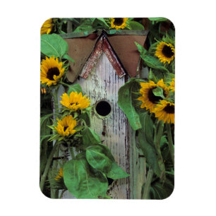 USA, Pennsylvania. Birdhouse and garden Magnet