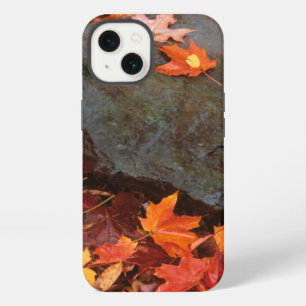 USA, Pennsylvania. Close-Up Of Forest Floor iPhone 13 Case