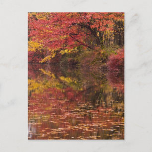 USA, Pennsylvania, Delaware Water Gap National Postcard