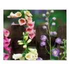 USA, Pennsylvania. Foxglove and delphinium