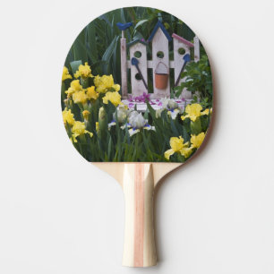 USA, Pennsylvania. Garden irises grow around Ping Pong Paddle