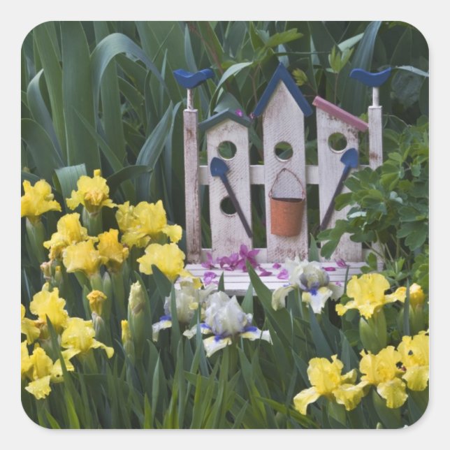 USA, Pennsylvania. Garden irises grow around Square Sticker (Front)