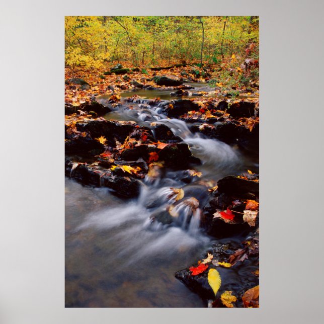 USA, Pennsylvania, Pocono Mountains 2 Poster (Front)