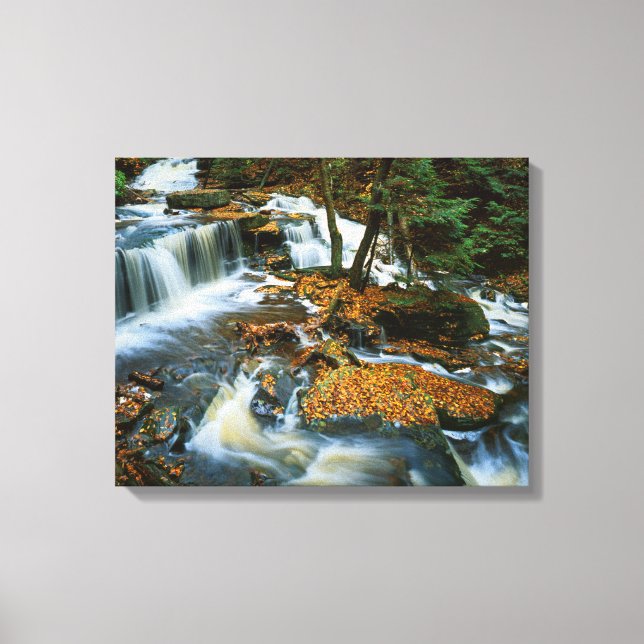 USA, Pennsylvania, Ricketts Glen State Park Canvas Print (Front)