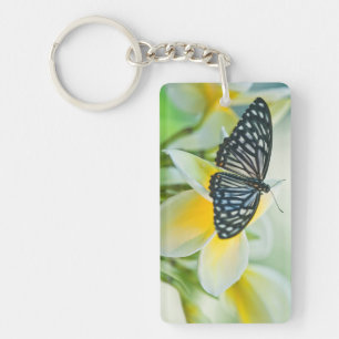 USA, Pennsylvania. Swallowtail butterfly Keychain