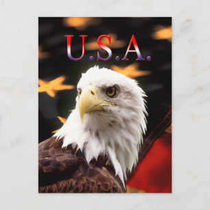 USA POSTCARD