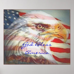 USA Poster