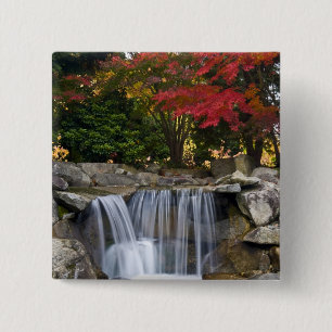 USA, Redmond, Washington. Fall colour in a park. 2 Inch Square Button