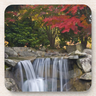 USA, Redmond, Washington. Fall colour in a park. Coaster