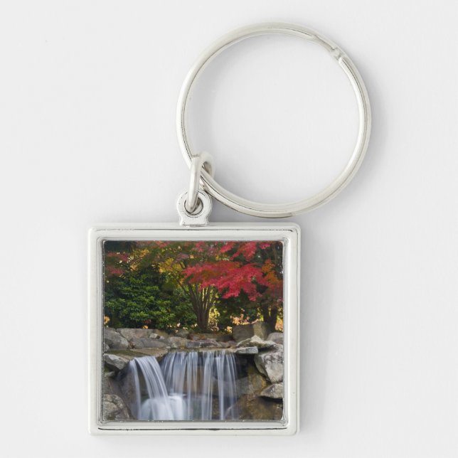 USA, Redmond, Washington. Fall colour in a park. Keychain (Front)