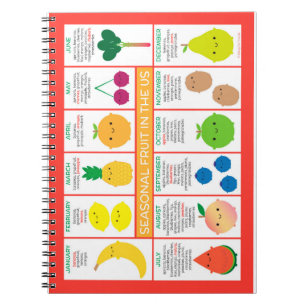 USA Seasonal Fruits Chart Notebook