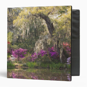 USA, South Carolina, Charleston. Cypress Trees 2 Binder