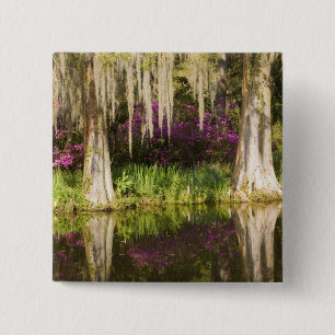 USA, South Carolina, Charleston. Cypress Trees 2 Inch Square Button