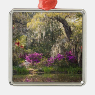 USA, South Carolina, Charleston. Cypress Trees 2 Metal Ornament